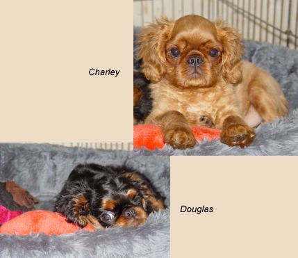 charley & douglas
