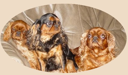 king charles