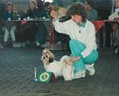 Ashira - 1987